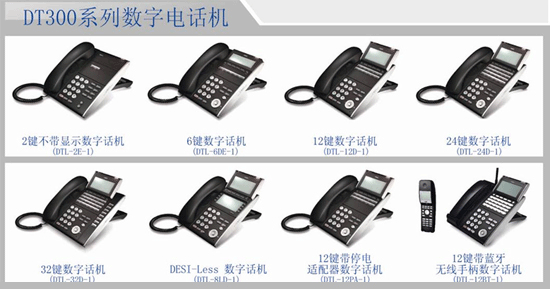 DT300 ֵ绰